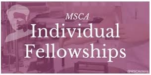 The launch of the Marie Skłodowska-Curie Actions 2019 Call for Individual Fellowships